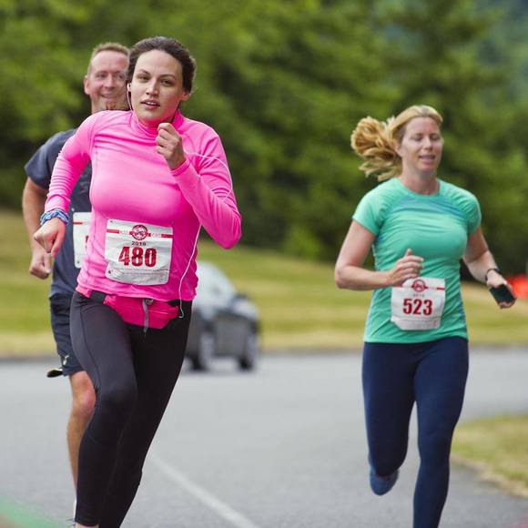 Meet your Posher, Sophia - Picture 1 of 1